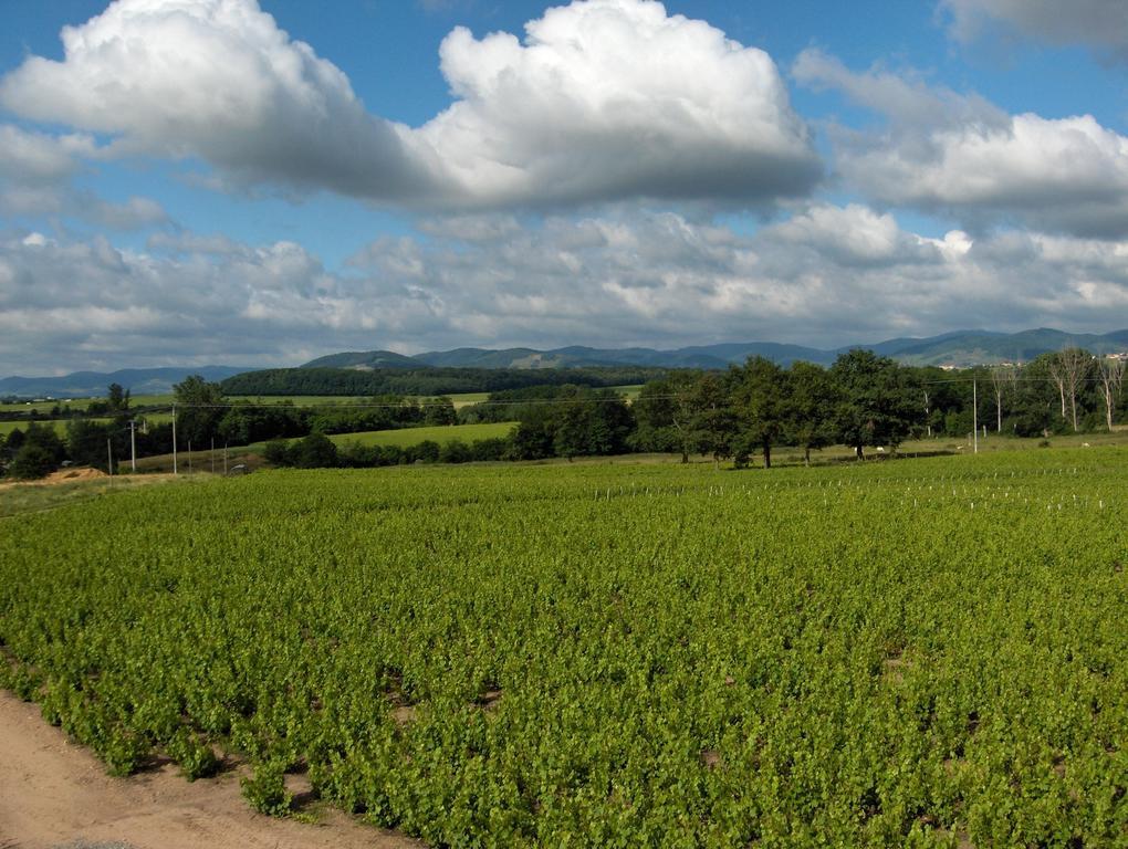 Coeur De Beaujolais Appartement Corcelles-en-Beaujolais Buitenkant foto